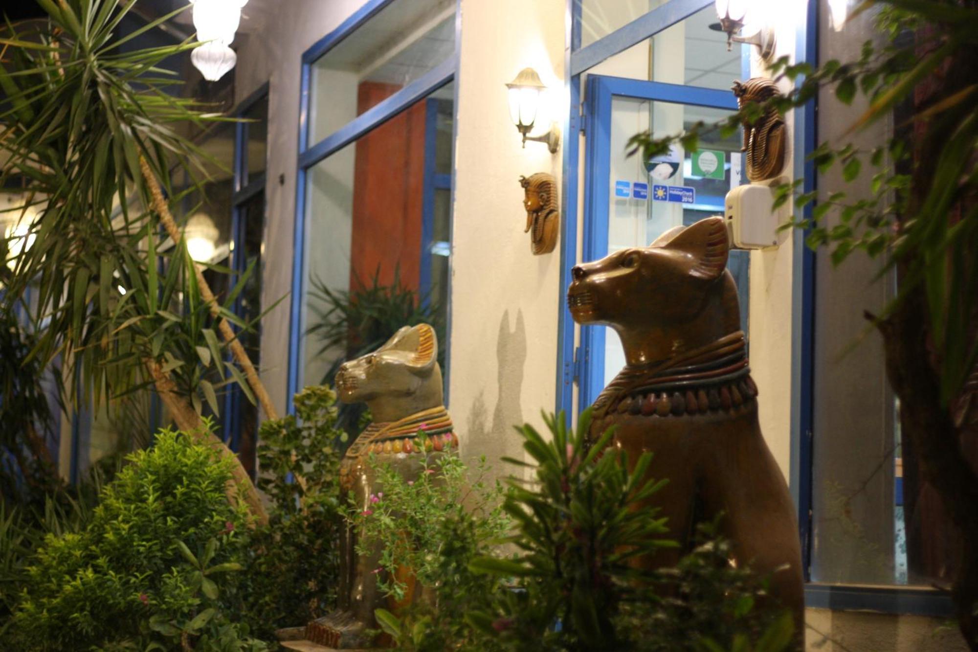 El Gezira Garden Hotel Luksor Zewnętrze zdjęcie