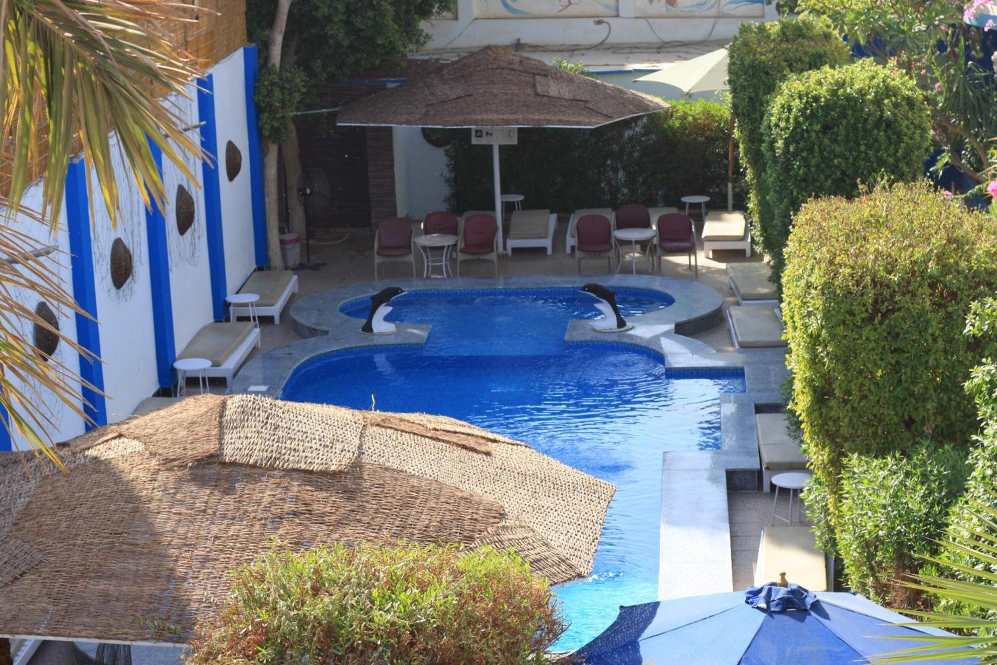 El Gezira Garden Hotel Luksor Zewnętrze zdjęcie
